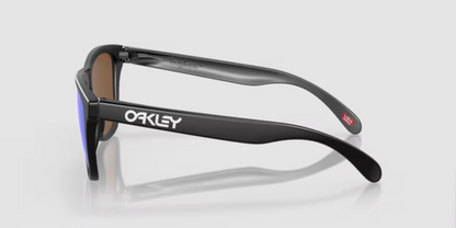 Occhiali Oakley Frogskins Prizm