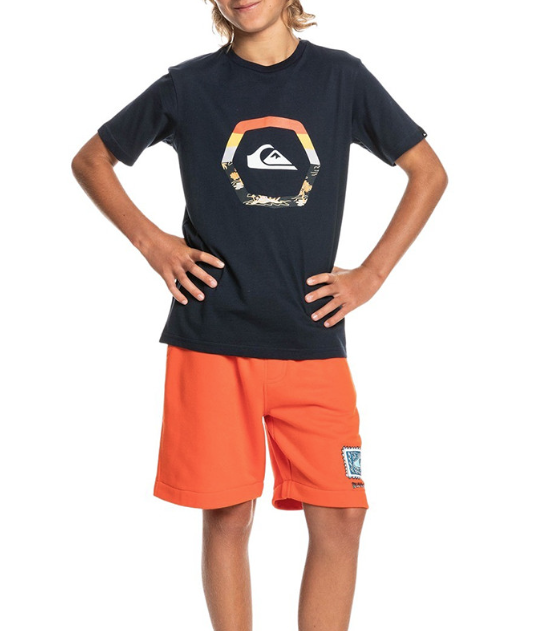 T-shirt Ragazzo Quiksilver